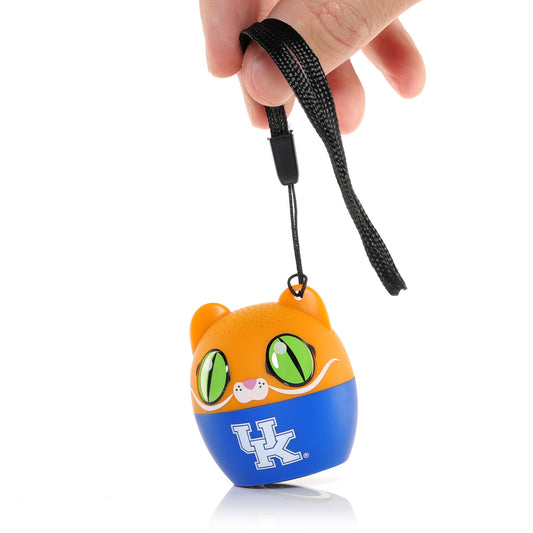 Kentucky Wildcats